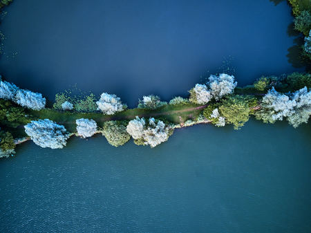 Top View of a small lake and green trees around with a small path or streetの写真素材