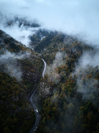 street from above trough a misty forest at autumn, aerial view flying through the clouds with fog...