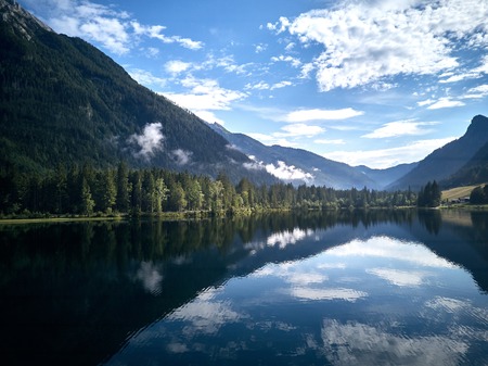 Aerial view of trees near the lake and the forest from aboveの写真素材
