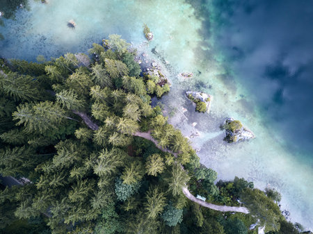 Aerial view of the road near the lake and the forest from above