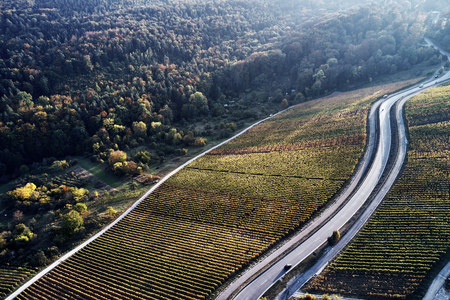 street between autumn forest aerial drone view from aboveの写真素材