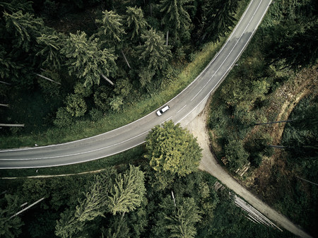 street between large trees from top with drone aerial view, landscape, autumnの写真素材