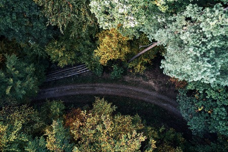street between autumn forest aerial drone view from aboveの写真素材