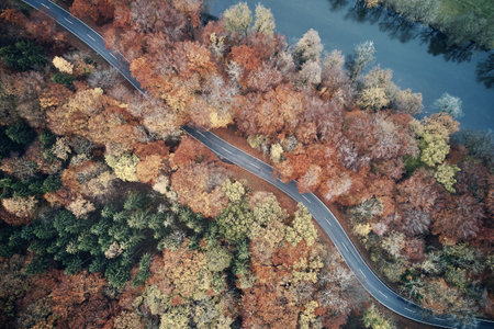 Aerial view of forest road in beautiful autumn. Colorful Trees in yellow, red and green from above.の写真素材