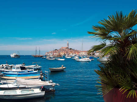 The haven of Rovinjの写真素材