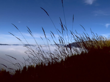 Above Cloudsの写真素材