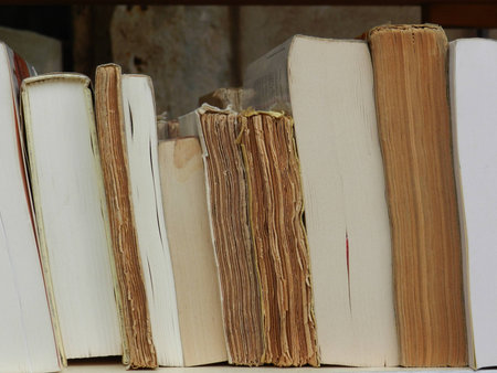  Reading  - book shelf library