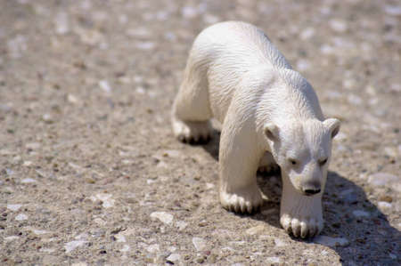 Jouet ours blancの写真素材