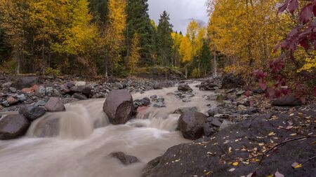 Colorado fall stream after rain with golden aspensの写真素材