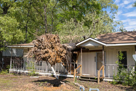 Pine Bluff, Arkansas April 12th 2020, Easter Sunday storms with winds from 70mph and up. More than 124,000 customers without power. That wind caused several trees power lines to fall across the state. Power outages lasting more than 7 days in some areas.のeditorial素材