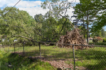 Pine Bluff, Arkansas April 12th 2020, Easter Sunday storms with winds from 70mph and up. More than 124,000 customers without power. That wind caused several trees power lines to fall across the state. Power outages lasting more than 7 days in some areas.のeditorial素材