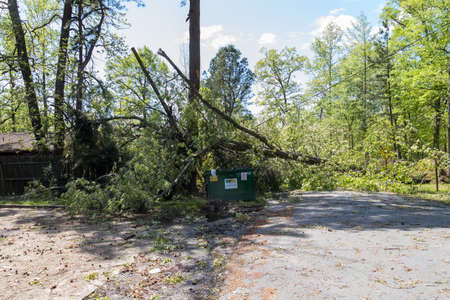 Pine Bluff, Arkansas April 12th 2020, Easter Sunday storms with winds from 70mph and up. More than 124,000 customers without power. That wind caused several trees power lines to fall across the state. Power outages lasting more than 7 days in some areas.のeditorial素材