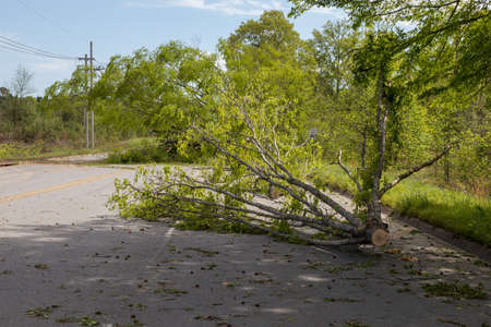 Pine Bluff, Arkansas April 12th 2020, Easter Sunday storms with winds from 70mph and up. More than 124,000 customers without power. That wind caused several trees power lines to fall across the state. Power outages lasting more than 7 days in some areas.のeditorial素材