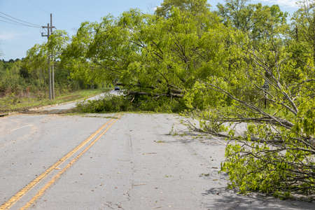 Pine Bluff, Arkansas April 12th 2020, Easter Sunday storms with winds from 70mph and up. More than 124,000 customers without power. That wind caused several trees power lines to fall across the state. Power outages lasting more than 7 days in some areas.のeditorial素材