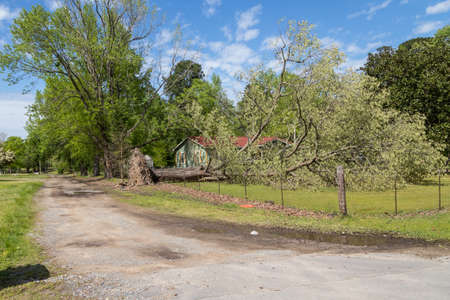 Pine Bluff, Arkansas April 12th 2020, Easter Sunday storms with winds from 70mph and up. More than 124,000 customers without power. That wind caused several trees power lines to fall across the state. Power outages lasting more than 7 days in some areas.のeditorial素材