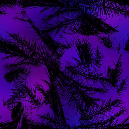Miami night tropical black foliage on sunset blurの写真素材