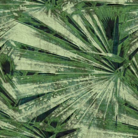 Green tropical palm tree leaves seamless patternの写真素材