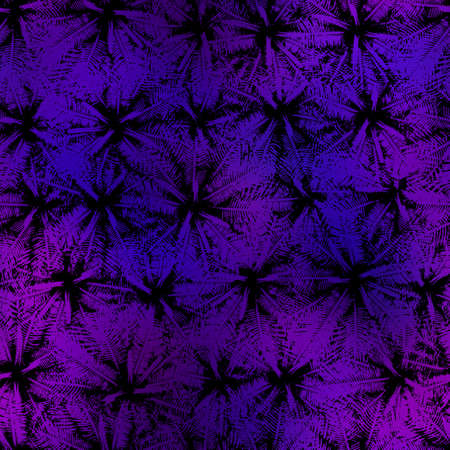 Miami night tropical black foliage on sunset blurの写真素材