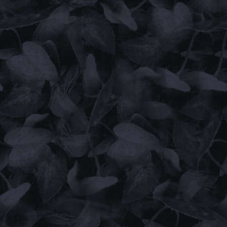 Dark moody almost black leaf seamless patternの写真素材