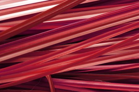 Grass background redの写真素材