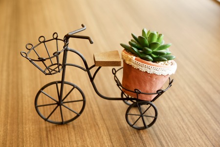 Miniature bicycle with flowerpot on plateの写真素材