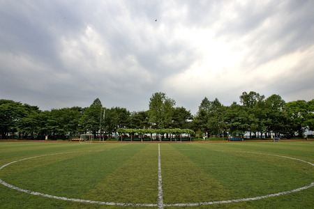 ground covered with artificial turf.の写真素材