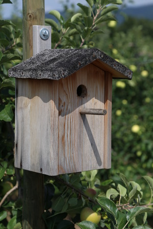 Aviaryの写真素材