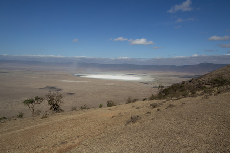 Ngorongoro Crater Salt Lakeの写真素材