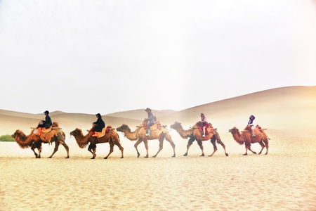 Mingsha Mountain with camelのeditorial素材