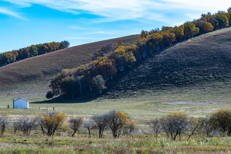 Abandoned farm on the hillside in the autumn season.の写真素材