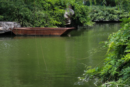 Abandoned boat in a park on the lake in summer.の写真素材