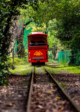 Old red tram in a park in Rome, Italy. Rome is the capital of Italy.の写真素材