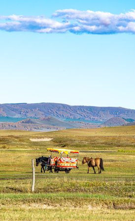 Horse carriage on the steppe in autumn. Altai, Russiaの写真素材