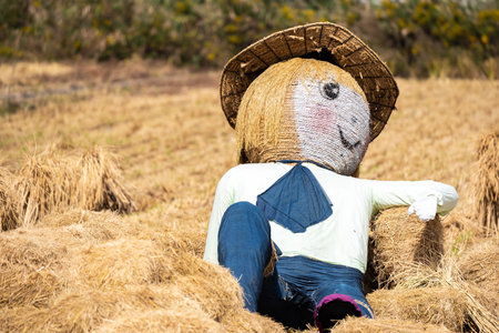 person in the field.の写真素材