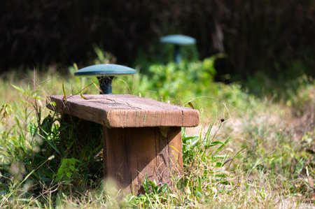 Old wooden bench in the garden, vintage style, selective focus.