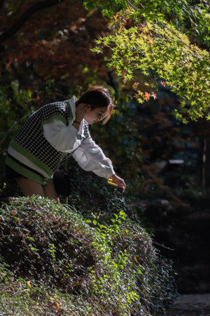 Woman in a Japanese garden in autumn.の写真素材
