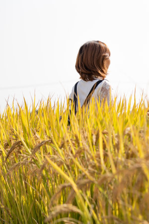 Asian woman in rice field, Thailand. (selective focus)の写真素材
