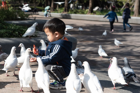 Asian boy feeding white pigeons in the park. Selective focus.の写真素材