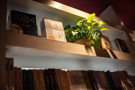 Bookshelf with books and plants in the interior of the roomの写真素材