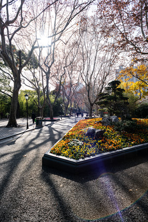 Park in the city of Seoul in South Korea.の写真素材