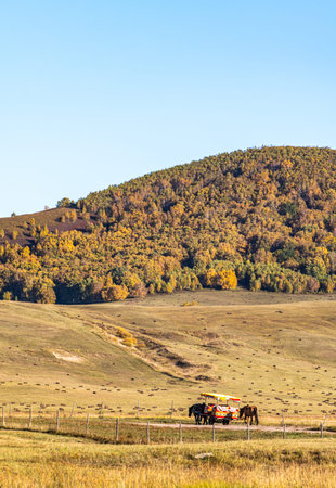 Autumn landscape with yellow trees on the hillsideの写真素材