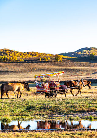 Horses on the farm. Autumn season.の写真素材