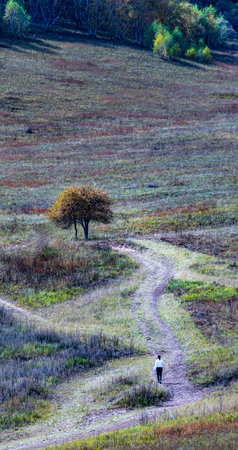 A man walking on a dirt road in the autumnal meadowsの写真素材