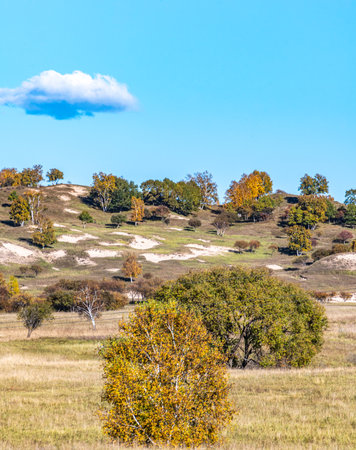 Autumn landscape with yellowed trees on the hillside and blue skyの写真素材