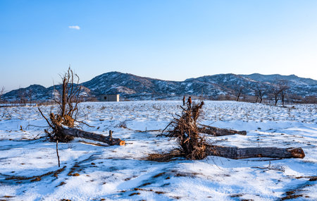 Landscape of snow-covered fields and mountains in the winter.の写真素材