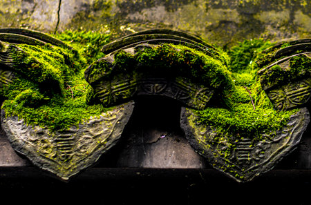 Green moss on the roof of an old building.の写真素材