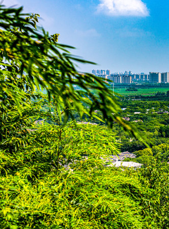 City view with green tree foreground. (Selective focus)の写真素材