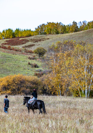 Unidentified people on horseback in the autumn forestの写真素材