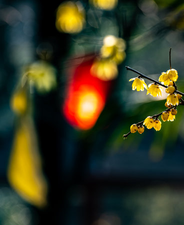 Beautiful blooming yellow flowers on the tree in the garden.の写真素材