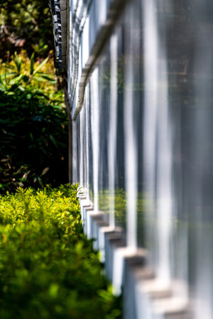 Detail of a fence in a garden, shallow depth of field